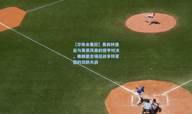 【华体会集团】黑森林堡垒与黄黑风暴的德甲对决，弗赖堡主场迎战多特蒙德的攻防大战