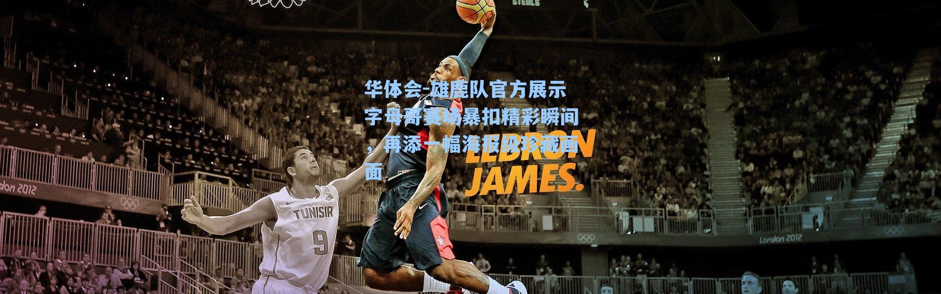 华体会-雄鹿队官方展示字母哥赛场暴扣精彩瞬间，再添一幅海报级珍藏画面