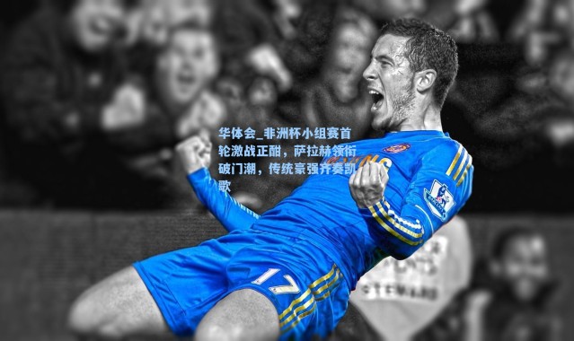 华体会_非洲杯小组赛首轮激战正酣，萨拉赫领衔破门潮，传统豪强齐奏凯歌